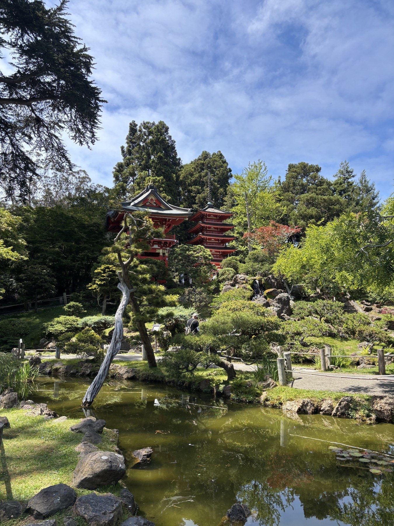 a garden pond and sculpted trees with red pagodas beneath a blue sky